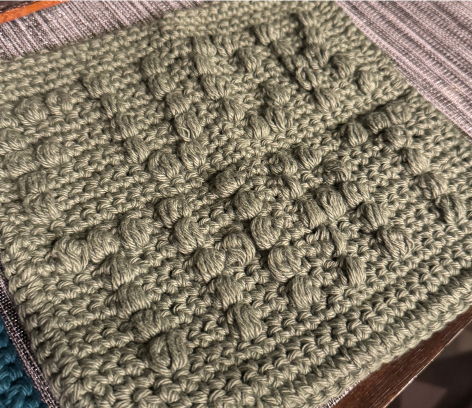 Cheeky Little Dish Cloth