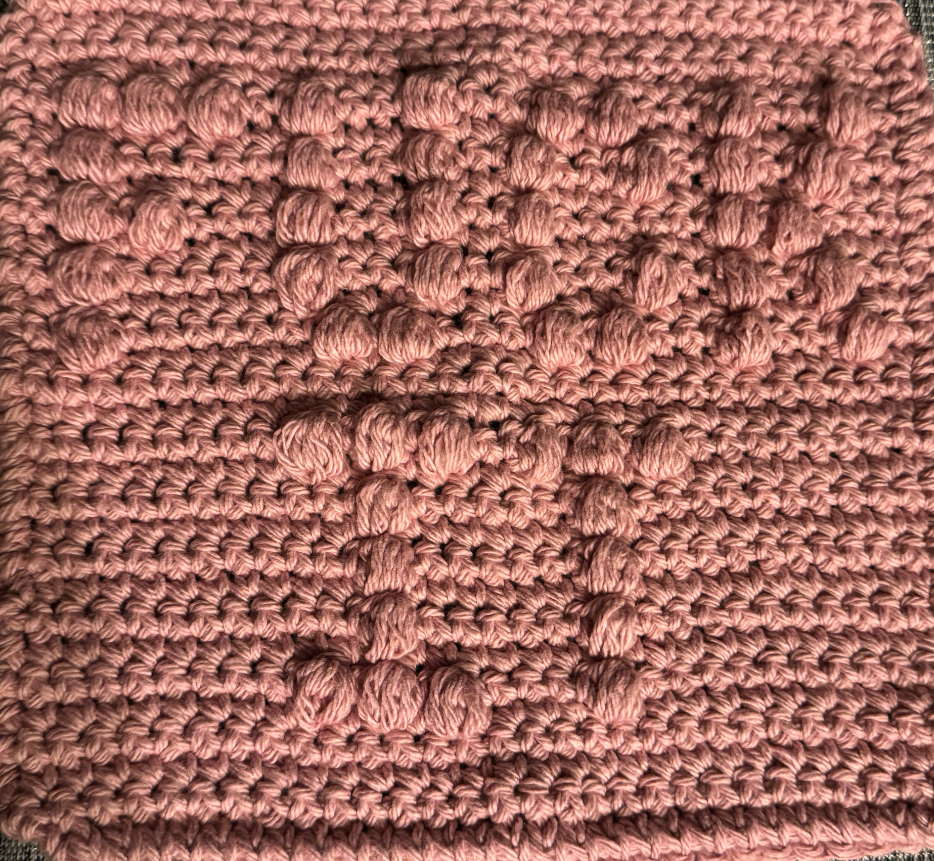 Cheeky Little Dish Cloth