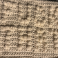 Cheeky Little Dish Cloth