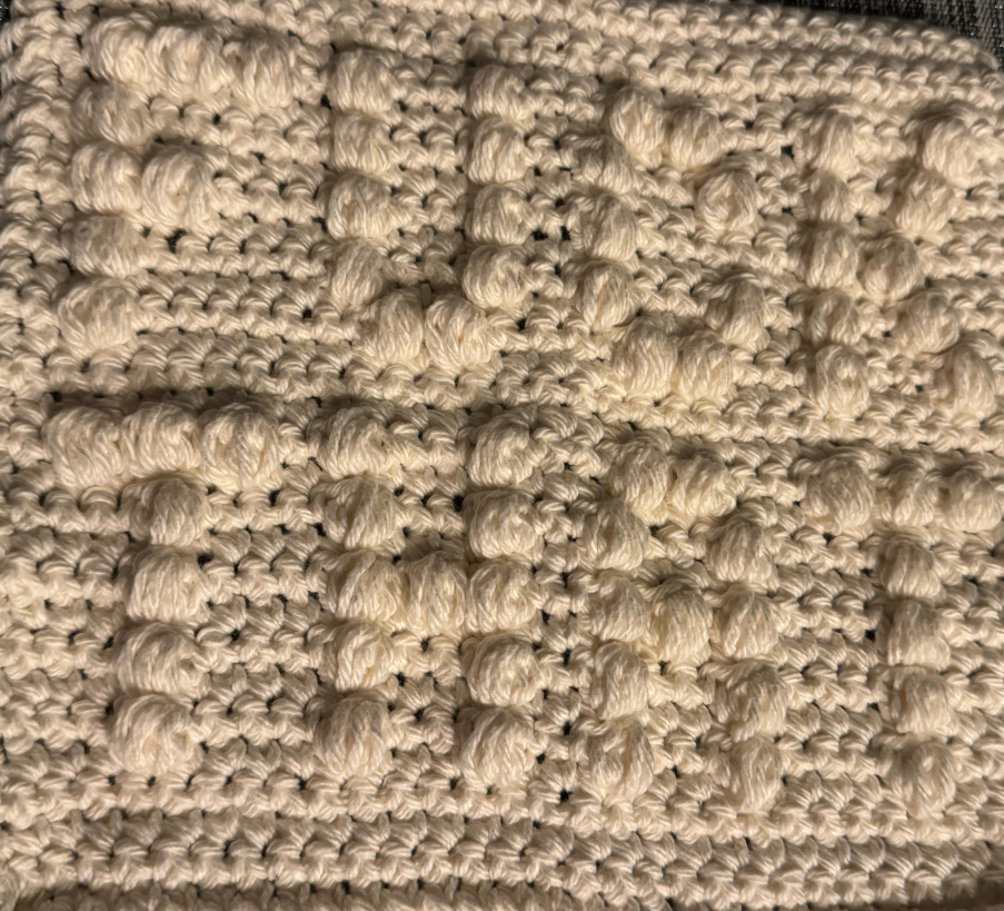 Cheeky Little Dish Cloth