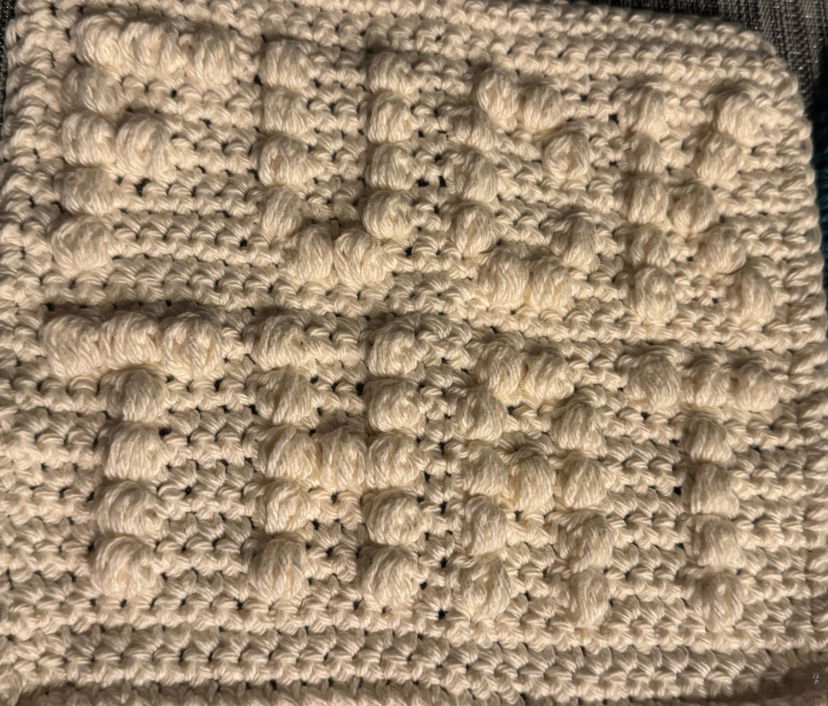 Cheeky Little Dish Cloth