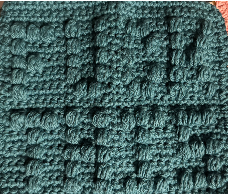 Cheeky Little Dish Cloth