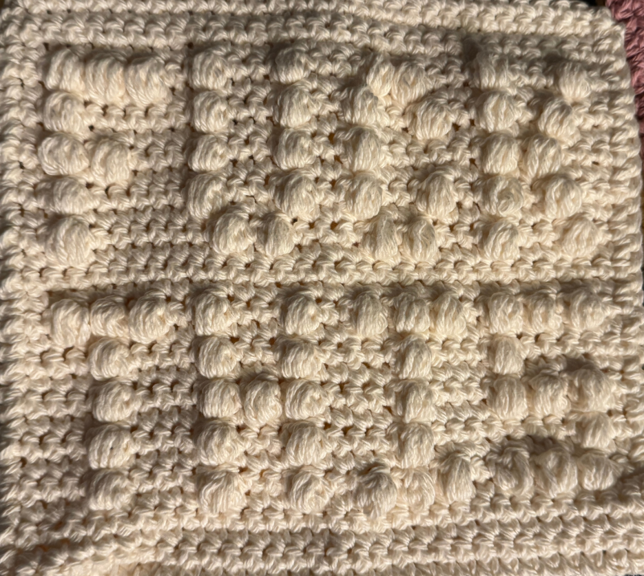 Cheeky Little Dish Cloth