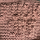 Cheeky Little Dish Cloth