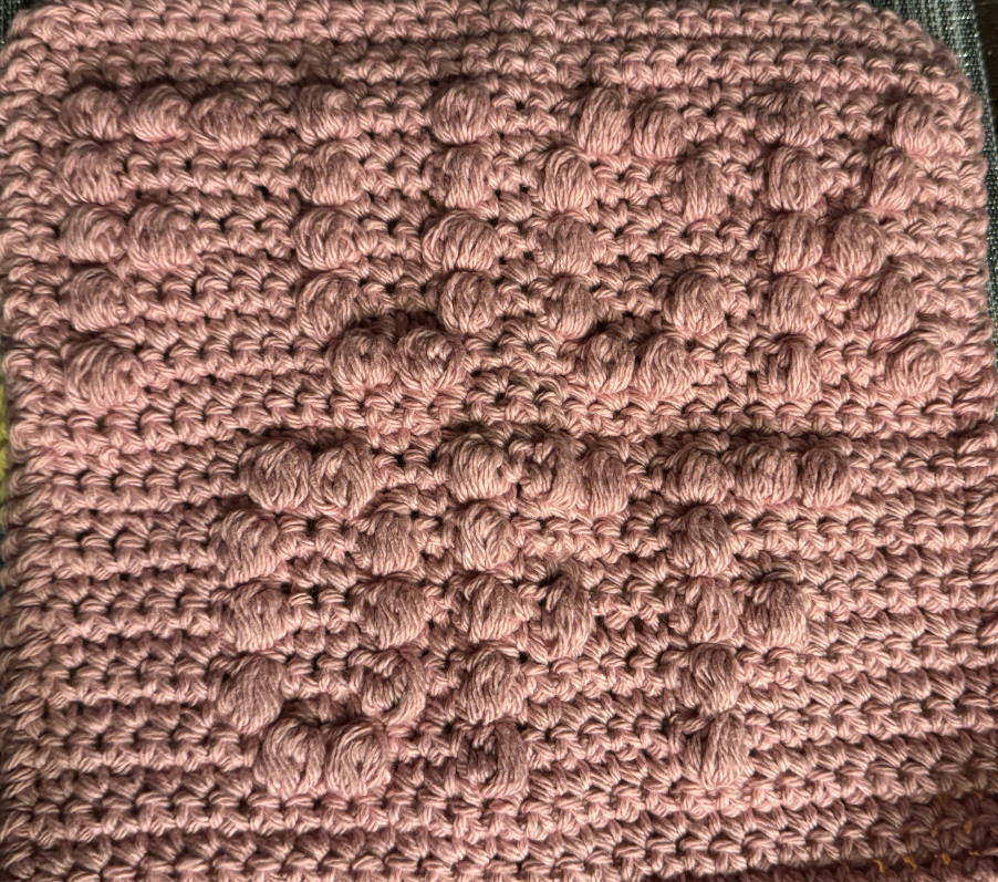 Cheeky Little Dish Cloth