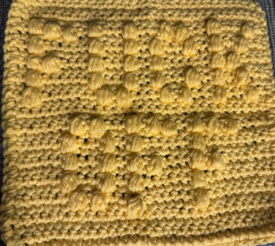 Cheeky Little Dish Cloth