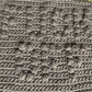 Cheeky Little Dish Cloth